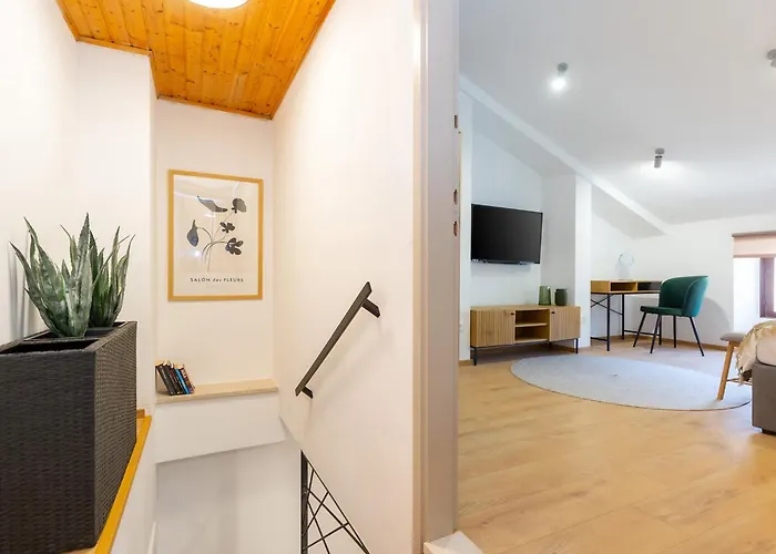Casa Novak City Center